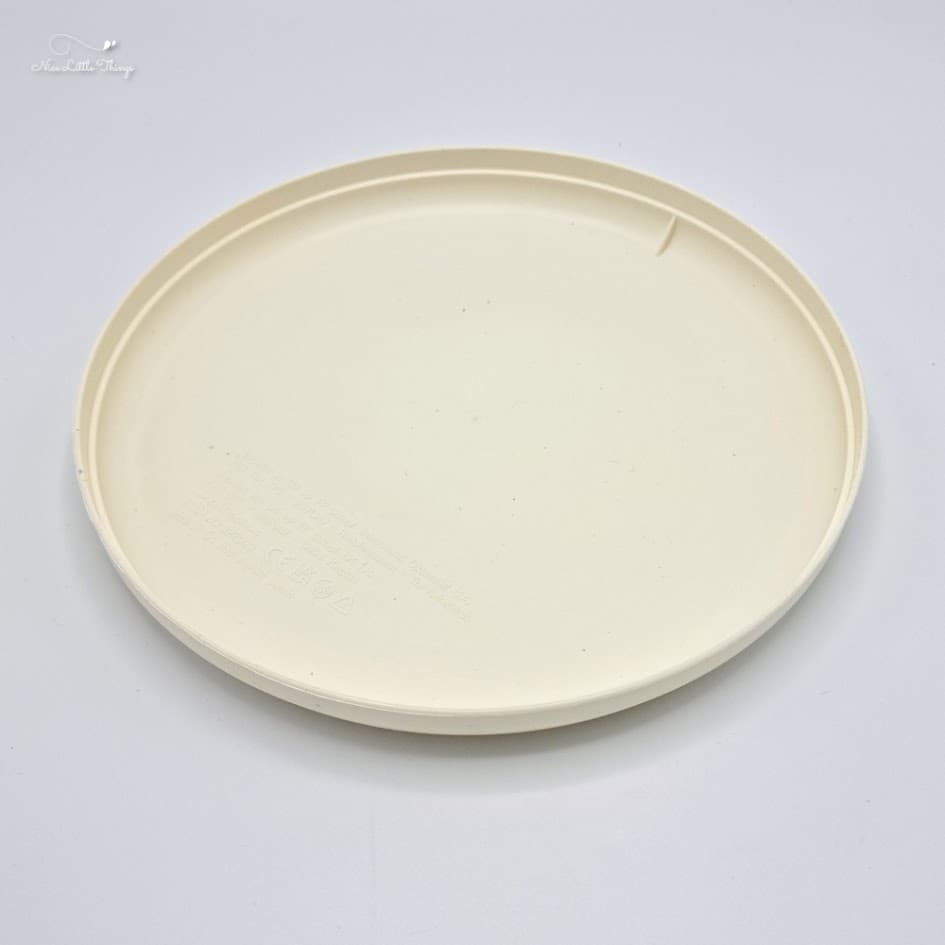 Frisbee with photo